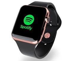 Spotify on Apple Watch