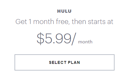 Hulu Subscription
