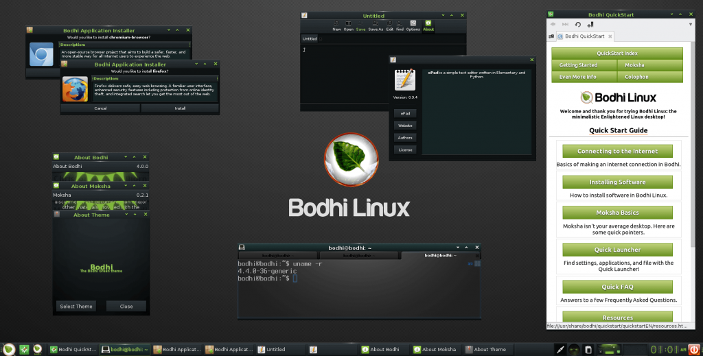 Bodhi Linux