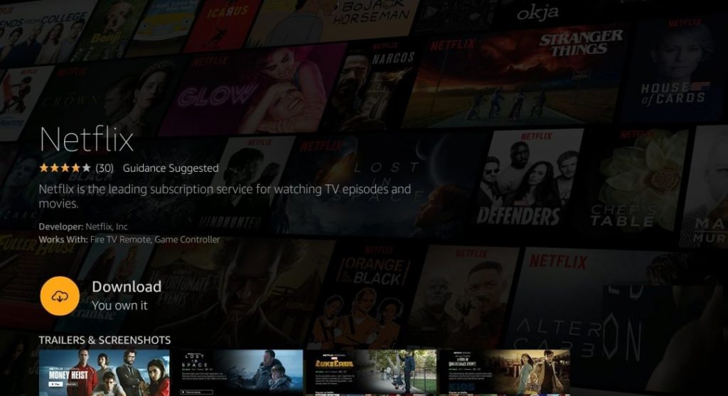 How to Install Netflix on Firestick?