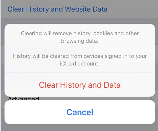 Clear Safari Cache on iPad