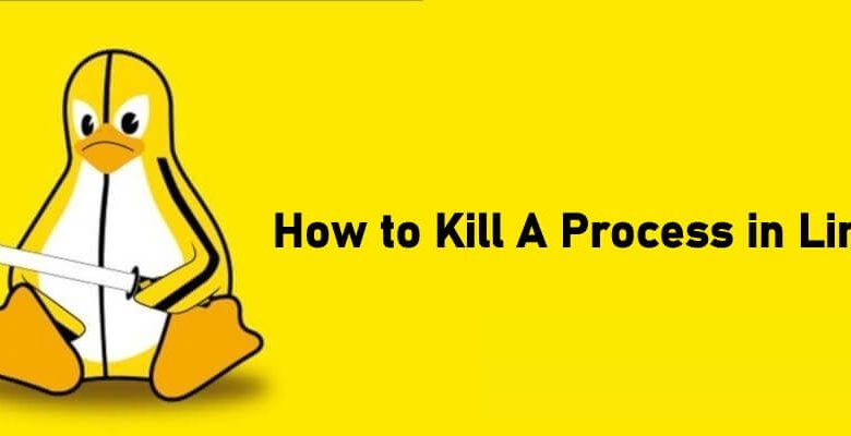 How to Kill A Process in Linux