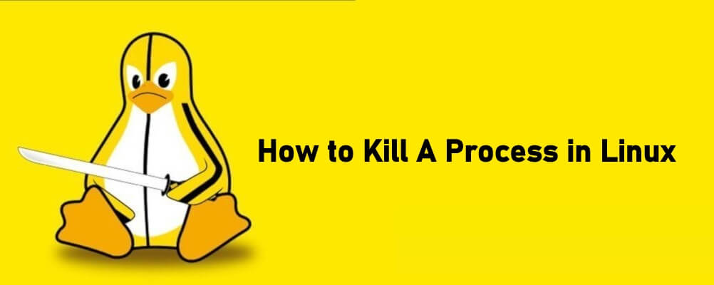 How to Kill A Process in Linux using Command Lines - TechOwns