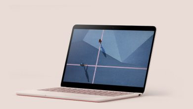 Pixelbook Go Not Pink