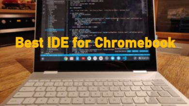 Best IDE for Chromebook