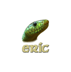 Eric Python