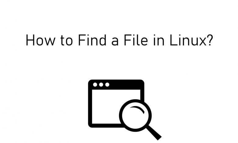 Find a file on Linux