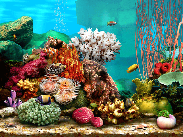 Living Marine Aquarium 2