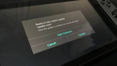 Nintendo Switch Update