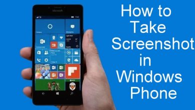 Screenshot in Windows Phone