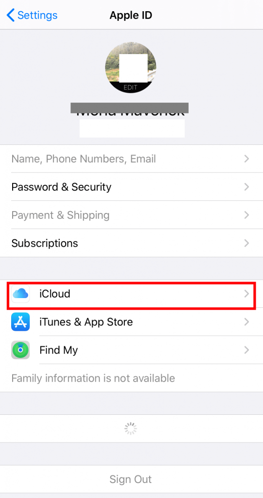 Sync Photos to iCloud