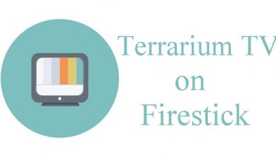 Terrarium TV on Firestick