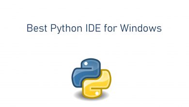 Best Python IDE for Windows