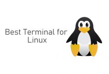Best Terminal for Linux