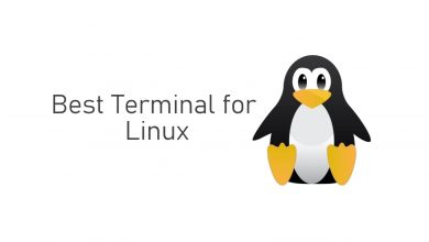 Best Terminal for Linux