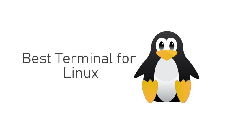 Best Terminal for Linux