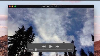 Best Video Player for Mac