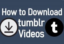 Download Tumblr Videos