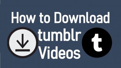 Download Tumblr Videos