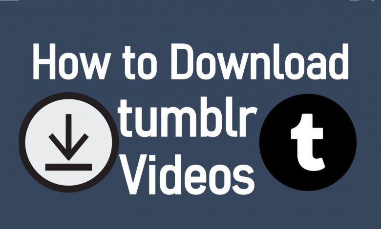 Download Tumblr Videos