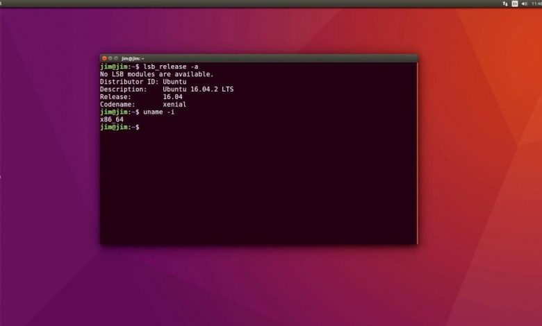 How to Check Ubuntu Version
