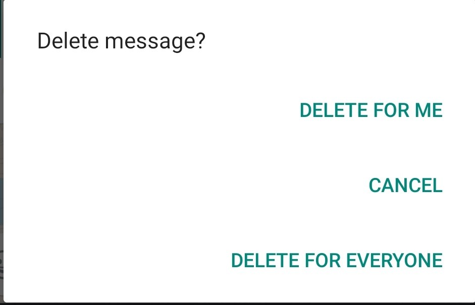 Delete WhatsApp Messages