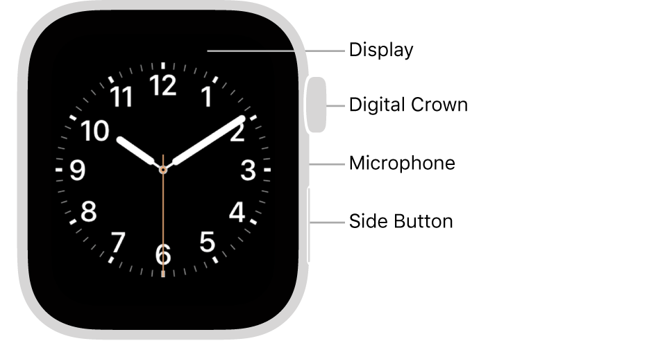 How to Use Apple Watch?