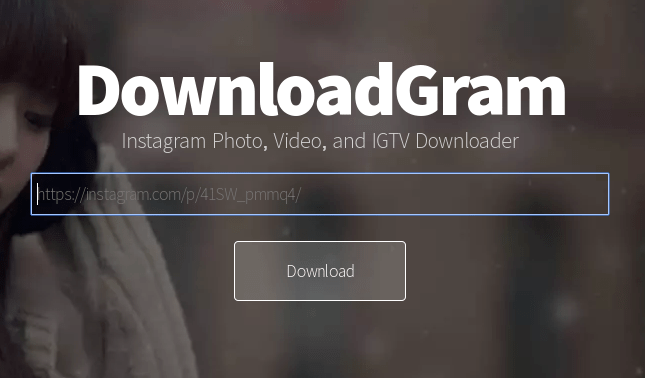 Open DownloadGram website