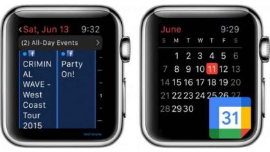 Google Calender on Apple Watch