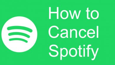 How to Cancel Spotify