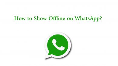 How to Show Offline on WhatsApp