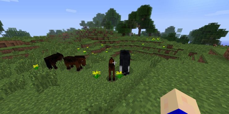 How to breed horses on minecraft