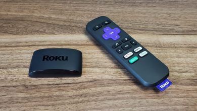 Roku Express