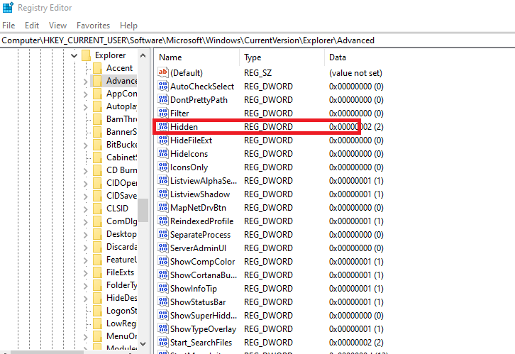 Show Hidden Files in Windows 10