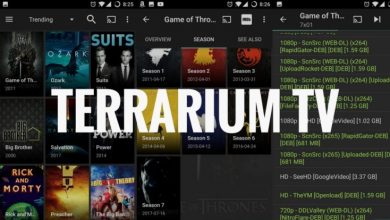 Terrarium TV apk