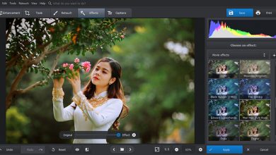 Best Free Photo Editing Software for Windows 10