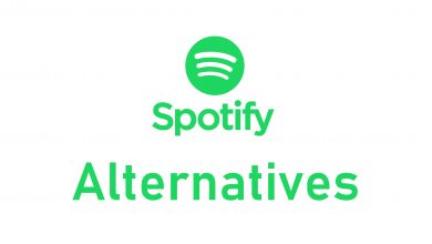 Best Spotify Alternatives