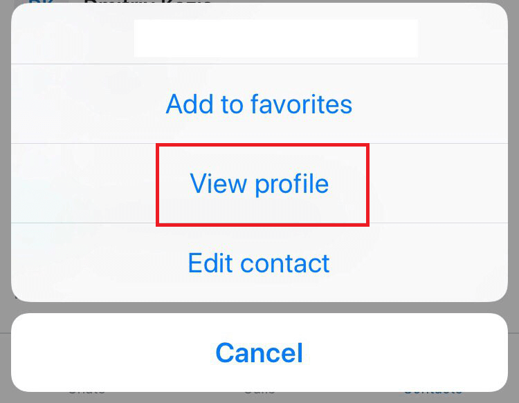 Choose View Profile option