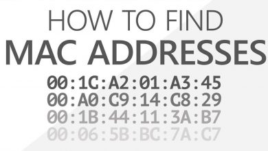 Find MAC Address on Mac