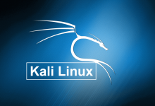 How to install Kali Linux