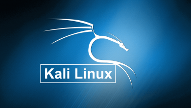 How to install Kali Linux