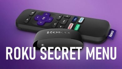 Roku secret menu