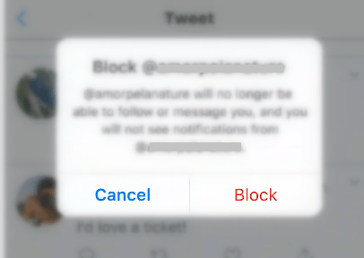 Tap on Block button
