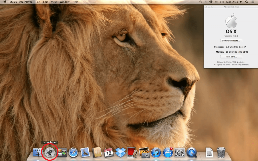 Task Manager on Mac