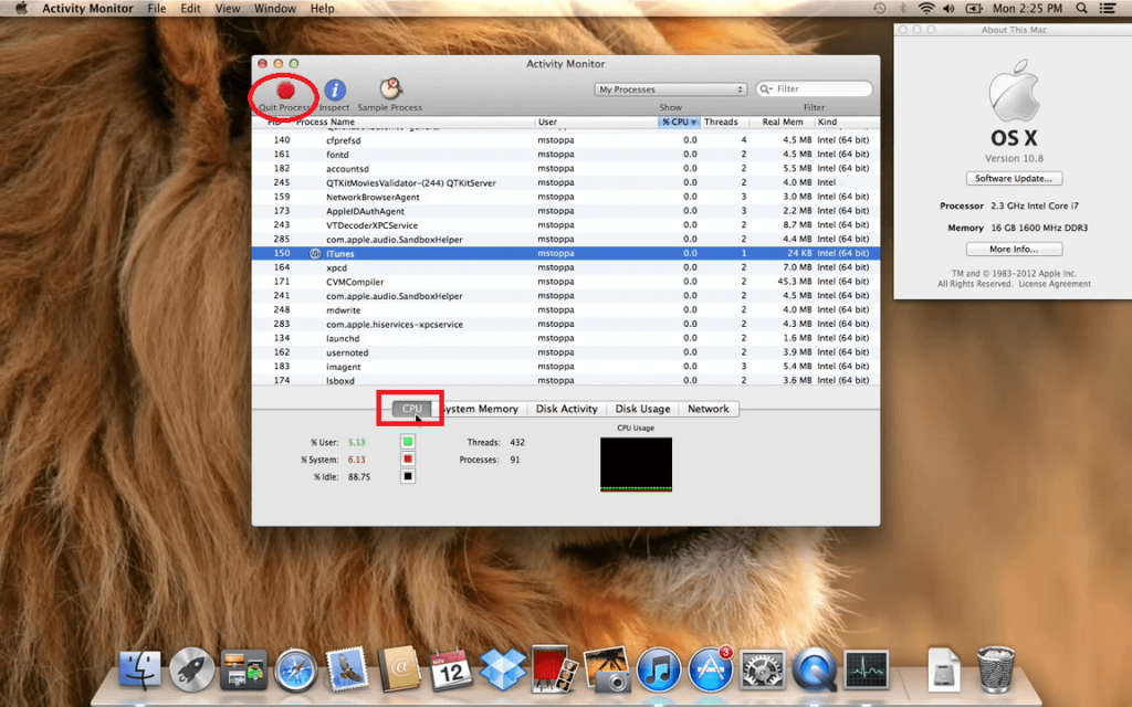 Task Manager on Mac