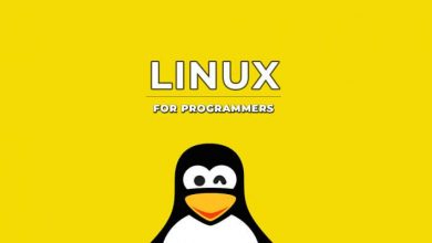 best linux distro for developers and programmers