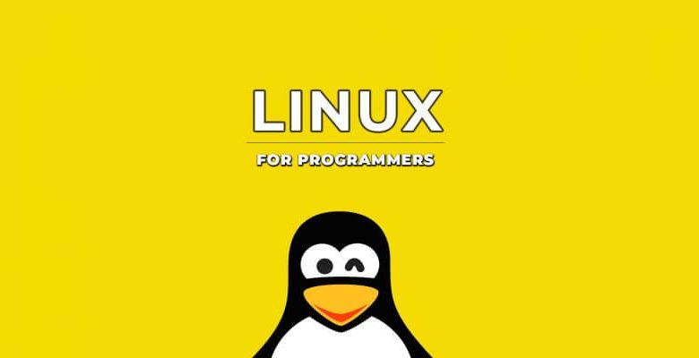 best linux distro for developers and programmers