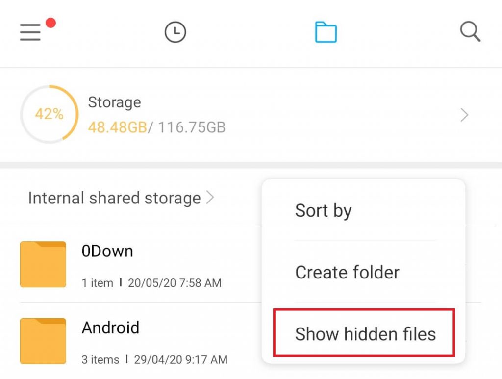 Show Hidden Files