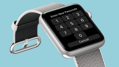 Forgot Apple Watch Passcode