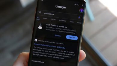 Google Discover Dark Mode